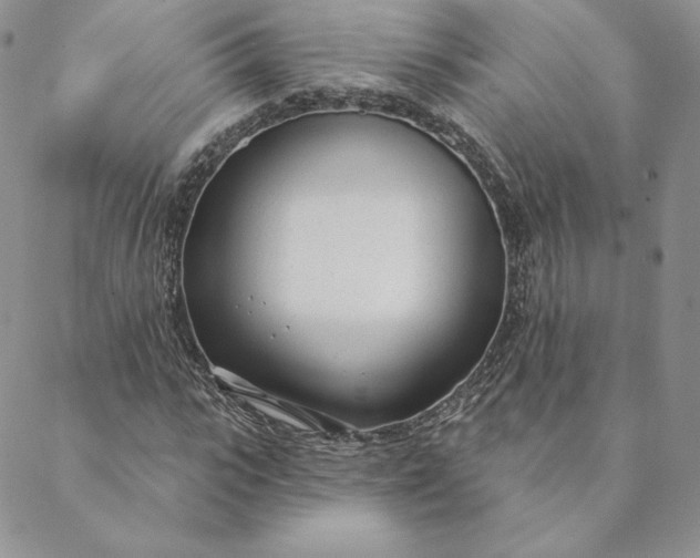 X0000088610919200706081430