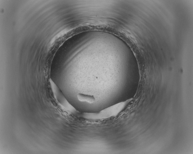 X0000088610920200706081430