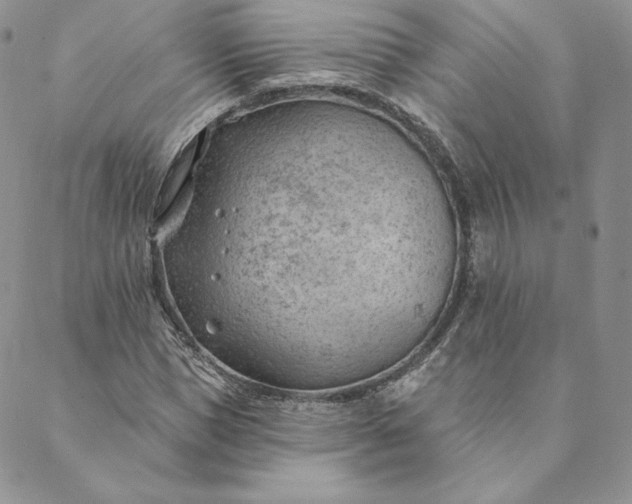 X0000088610921200706081430