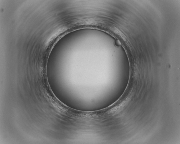 X0000088610922200706081430