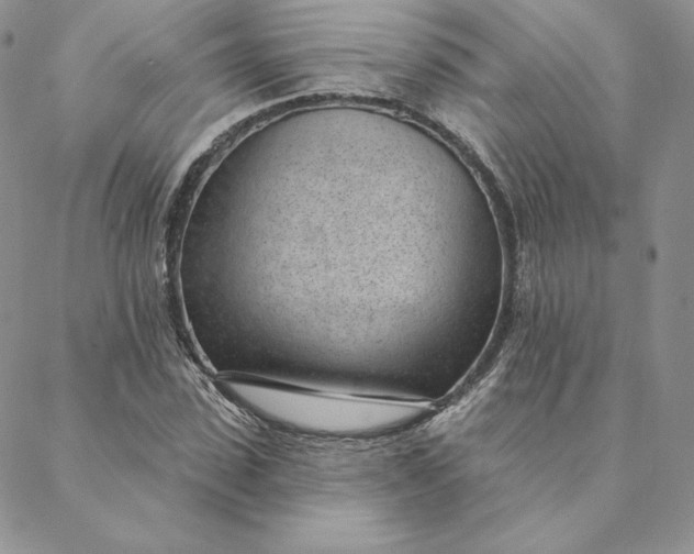 X0000088610923200706081430