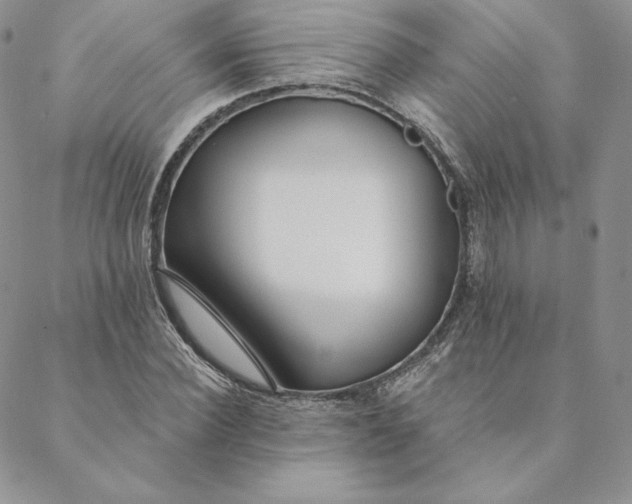 X0000088610924200706081430