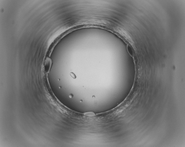 X0000088610928200706081430