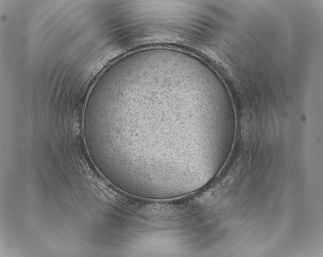 X0000088610929200706081430