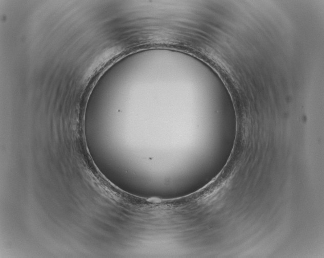 X0000088610930200706081430