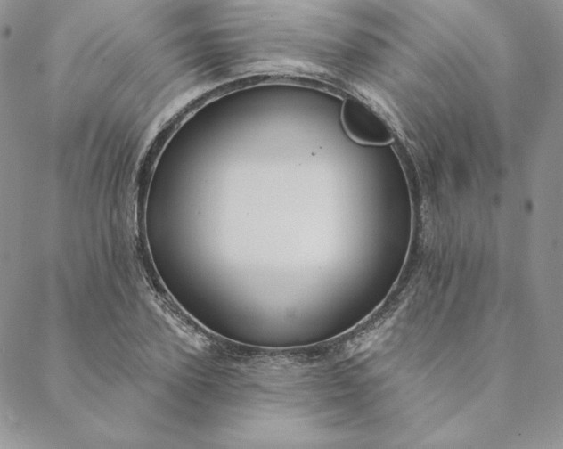 X0000088610931200706081430