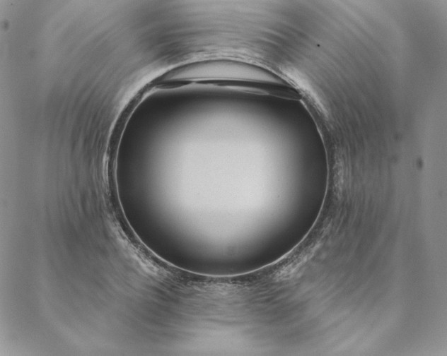 X0000088610932200706081430