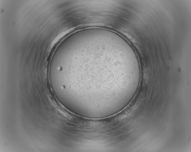 X0000088610933200706081430