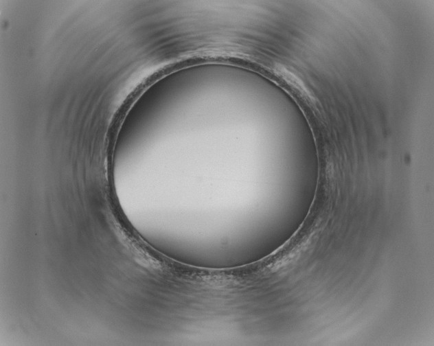 X0000088610934200706081430