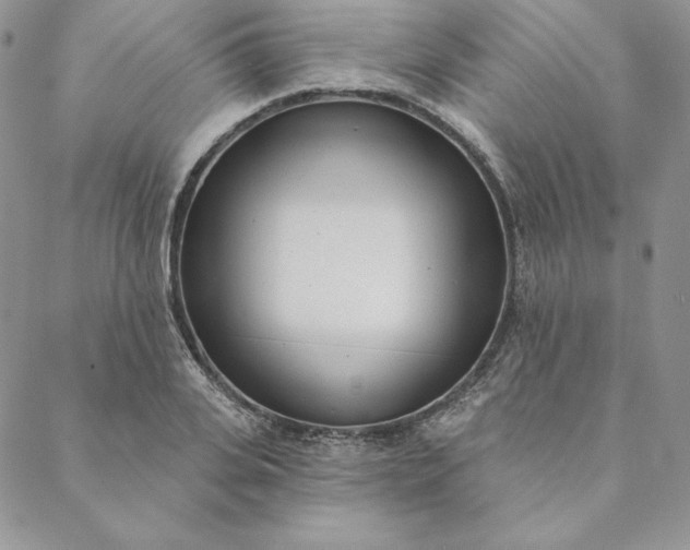 X0000088610935200706081430