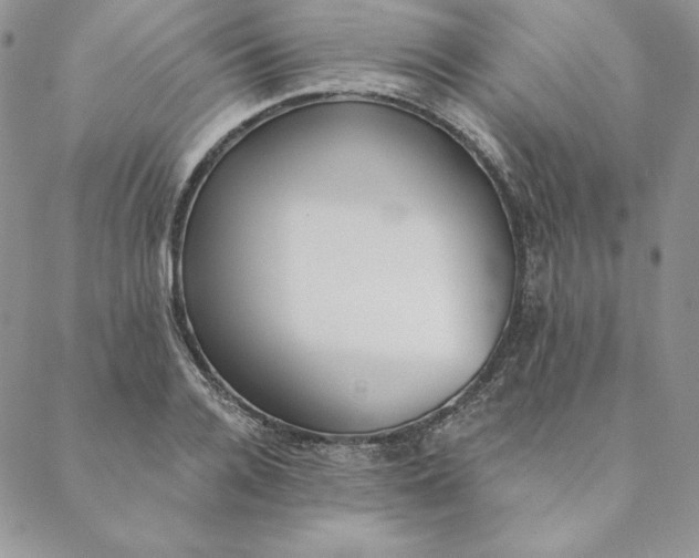 X0000088610936200706081430