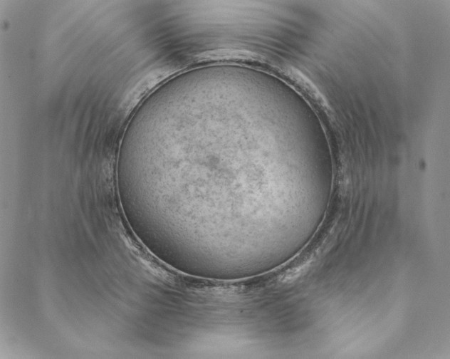 X0000088610937200706081431