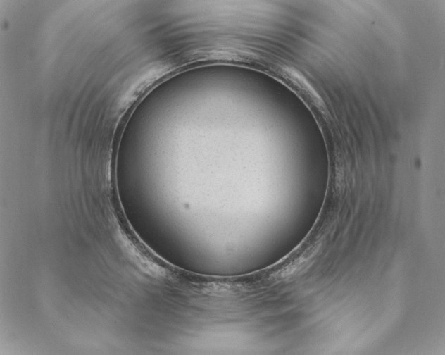 X0000088610938200706081431