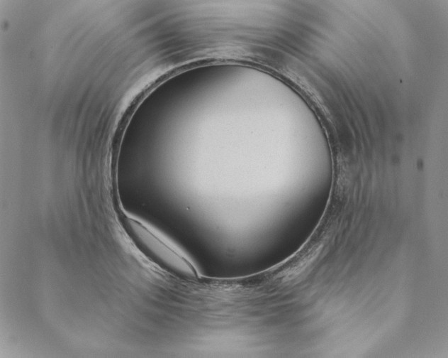 X0000088610939200706081431