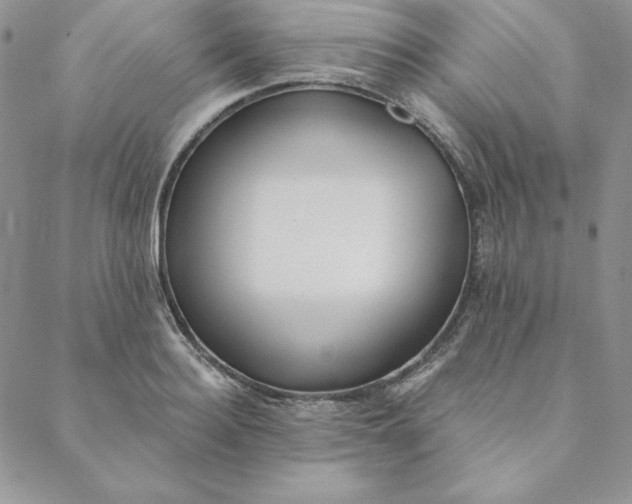 X0000088610940200706081431