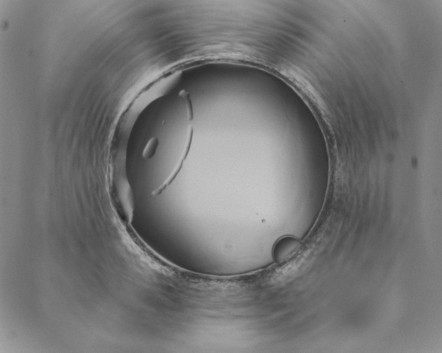 X0000088610941200706081431