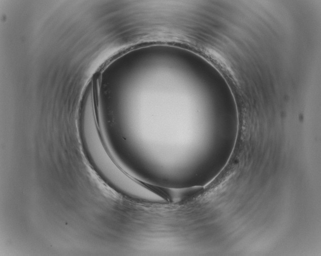 X0000088610942200706081431