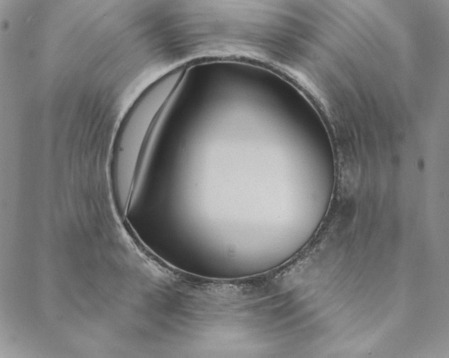 X0000088610943200706081431