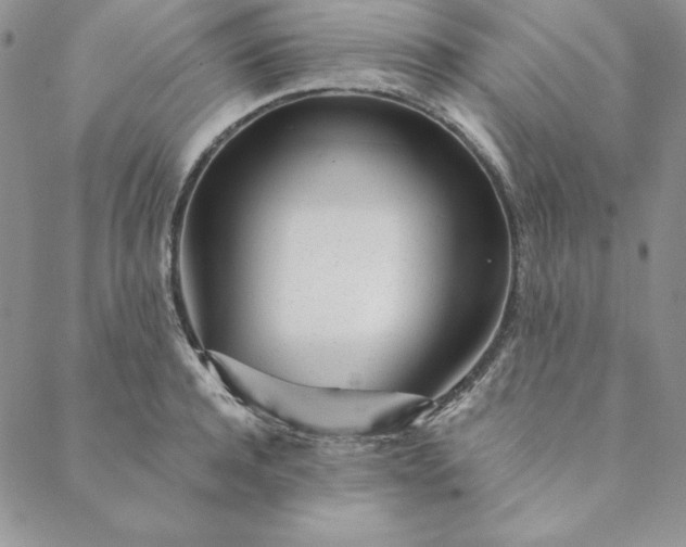 X0000088610944200706081431