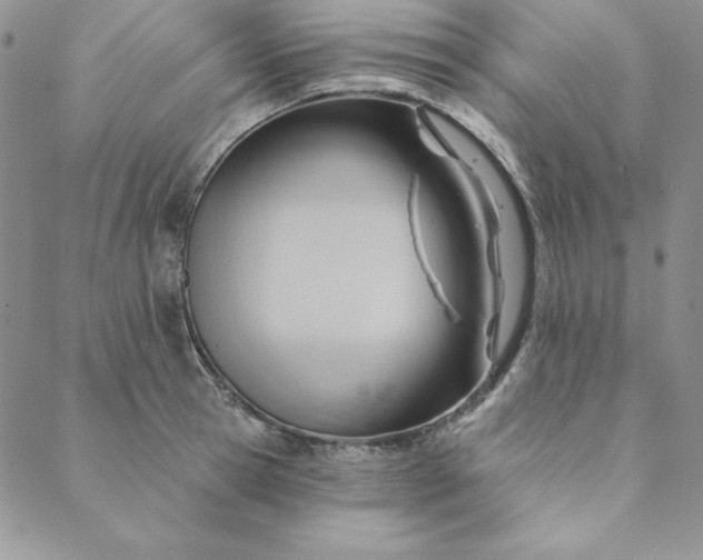 X0000088610945200706081431