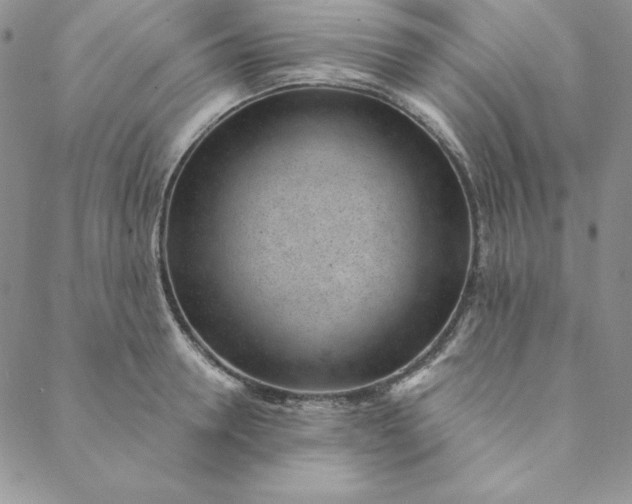 X0000088610946200706081431