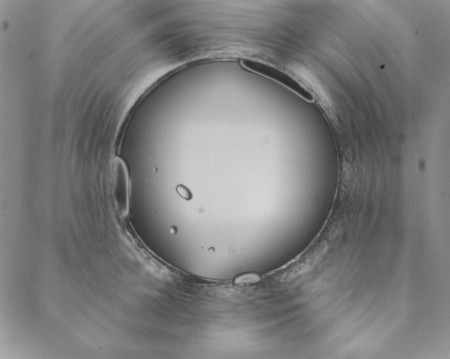 X0000088610948200706081431