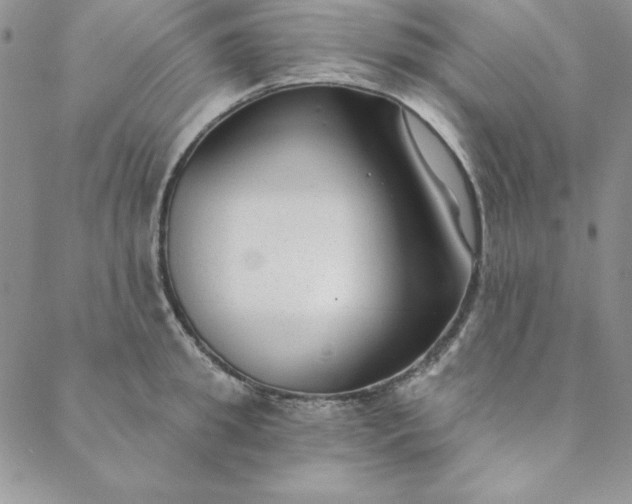 X0000088610949200706081431