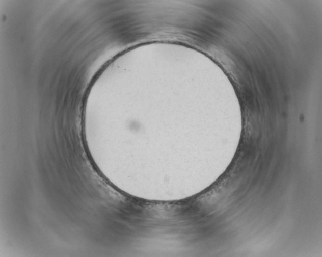 X0000088610950200706081431