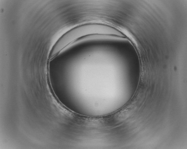 X0000088610951200706081431