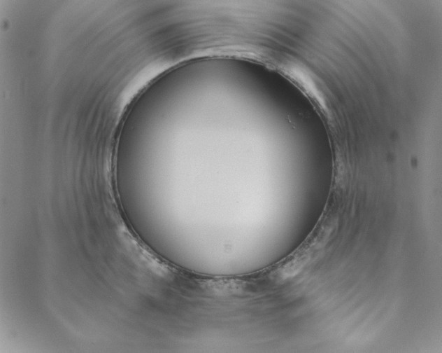 X0000088610952200706081431