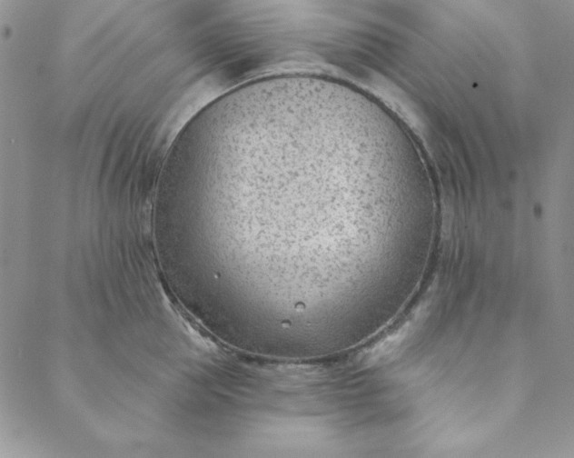 X0000088610953200706081431