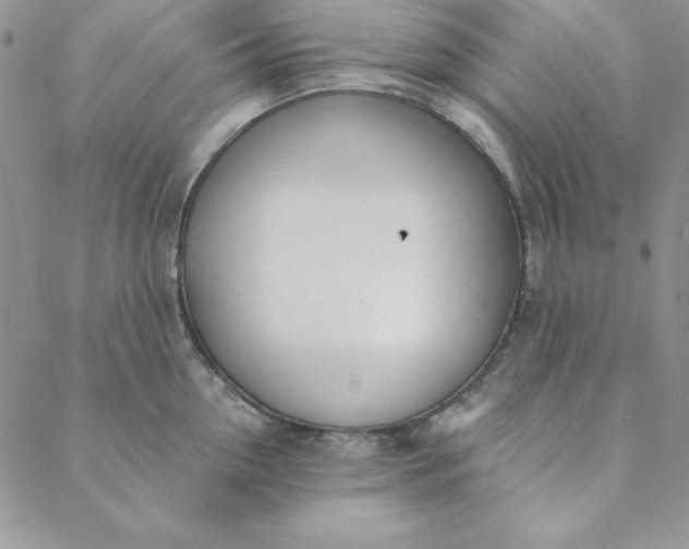 X0000088610954200706081431