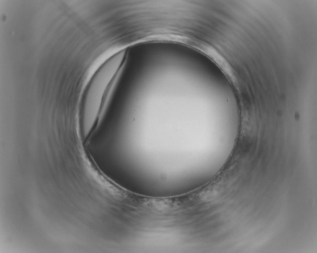 X0000088610955200706081431