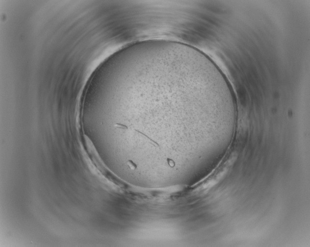 X0000088610957200706081431