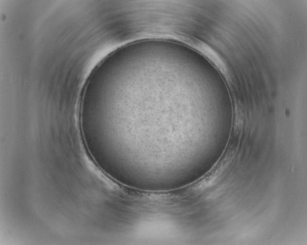 X0000088610958200706081431