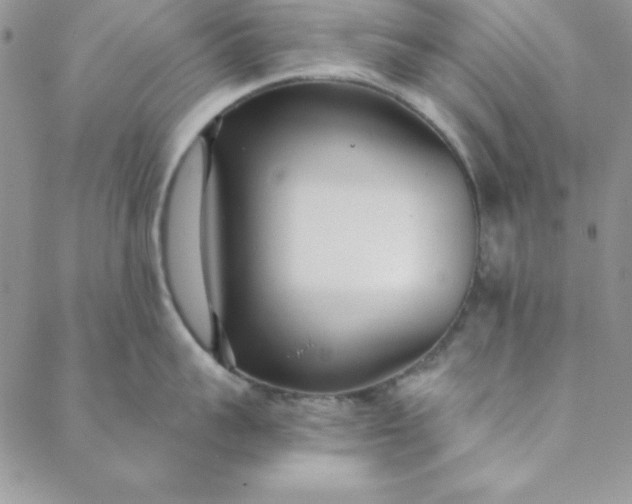 X0000088610959200706081431