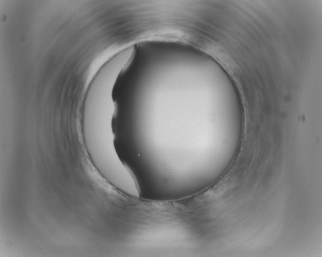 X0000088610960200706081431