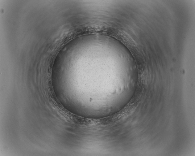 X0000088610961200706081430