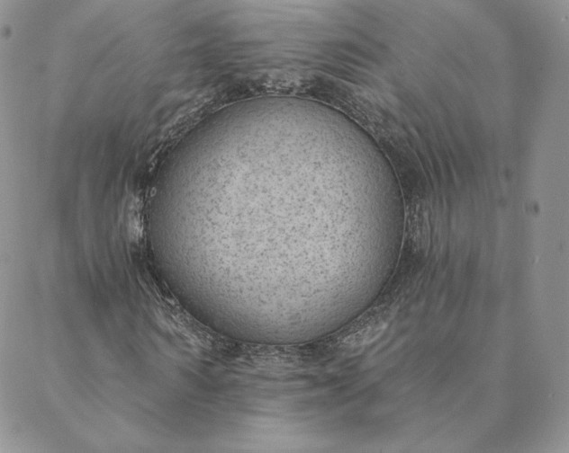 X0000088610962200706081430