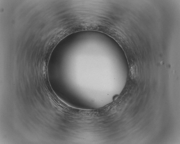 X0000088610963200706081430