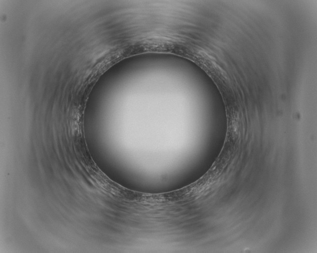 X0000088610964200706081430