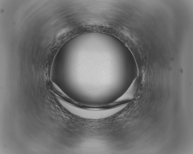 X0000088610965200706081430