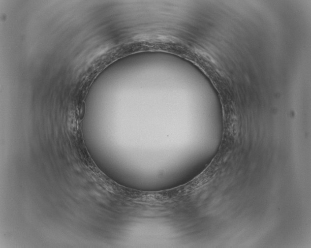 X0000088610966200706081430