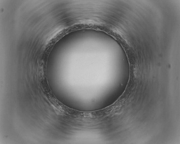 X0000088610968200706081430