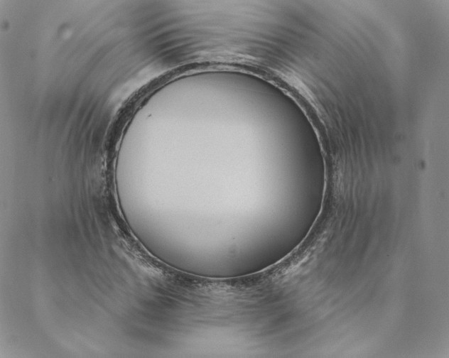 X0000088610971200706081430