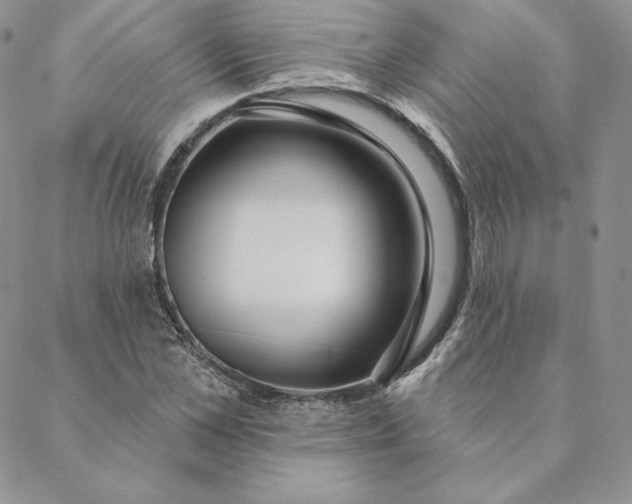 X0000088610973200706081430