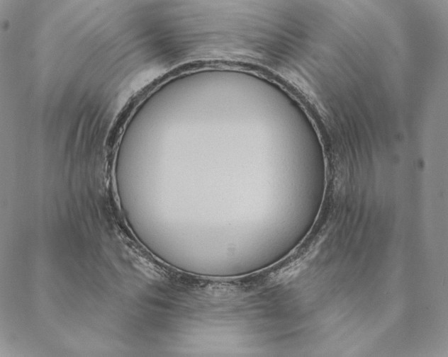 X0000088610974200706081430