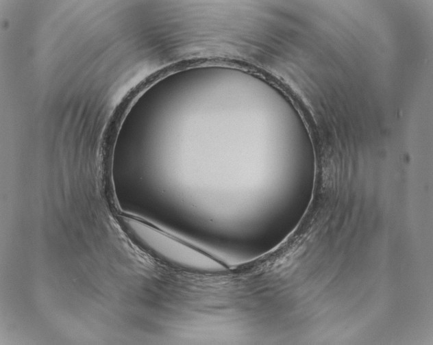 X0000088610975200706081430