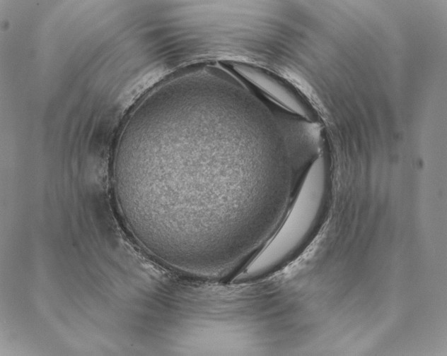 X0000088610977200706081430