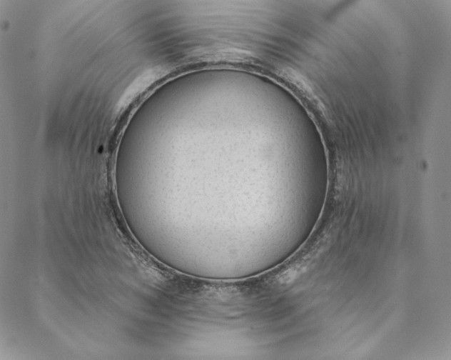 X0000088610978200706081430